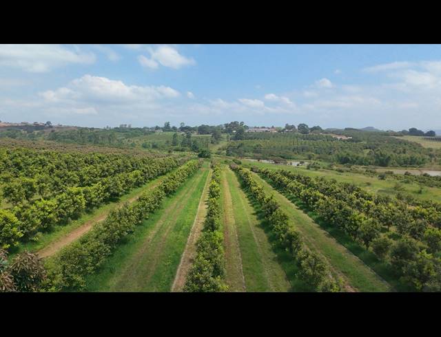 24HA FARM FOR SALE IN WHITE RIVER RURAL